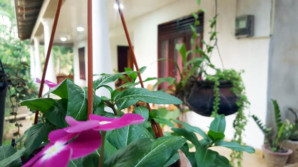 Kassapa Home Stay Сигирия Экстерьер фото
